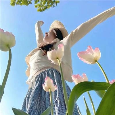 森林女王2024 在线观看