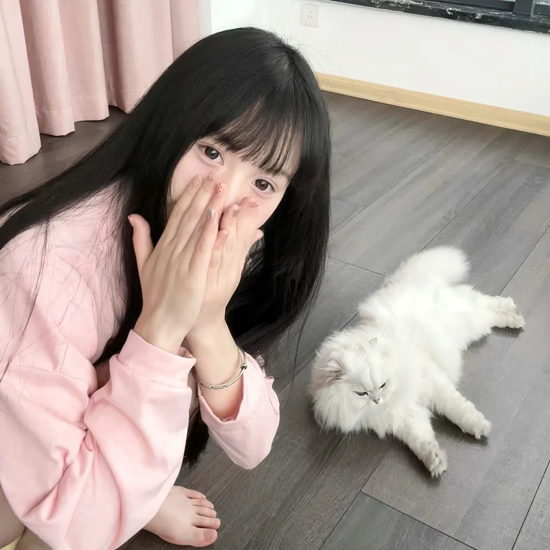 法医宋慈 在线观看